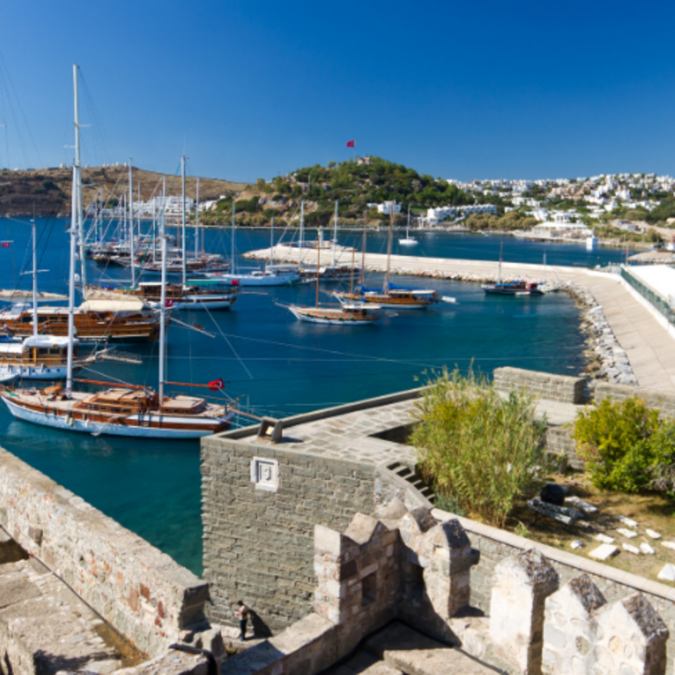 Bodrumcover
