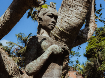 Eerste ontdekkingstocht met gidscover