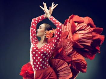 Flamencoshow (avond)cover
