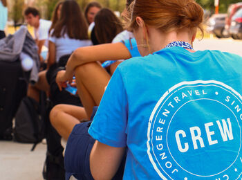 Hanenbos by nightcover