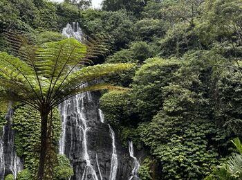 Waterfall visit cover