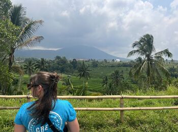 Jatiluwih Rice Terraces cover
