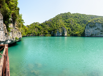 Dagtrip Emerald Lagoon, Hot Spring & Tiger Cave Temple cover