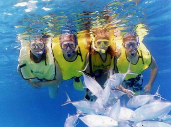 Snorkel Cruisecover