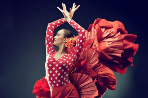 Flamencoshow (avond)cover