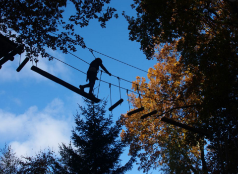 Adventure by nightcover