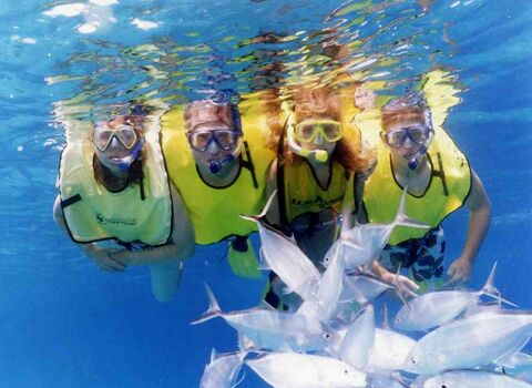 Snorkel Cruisecover